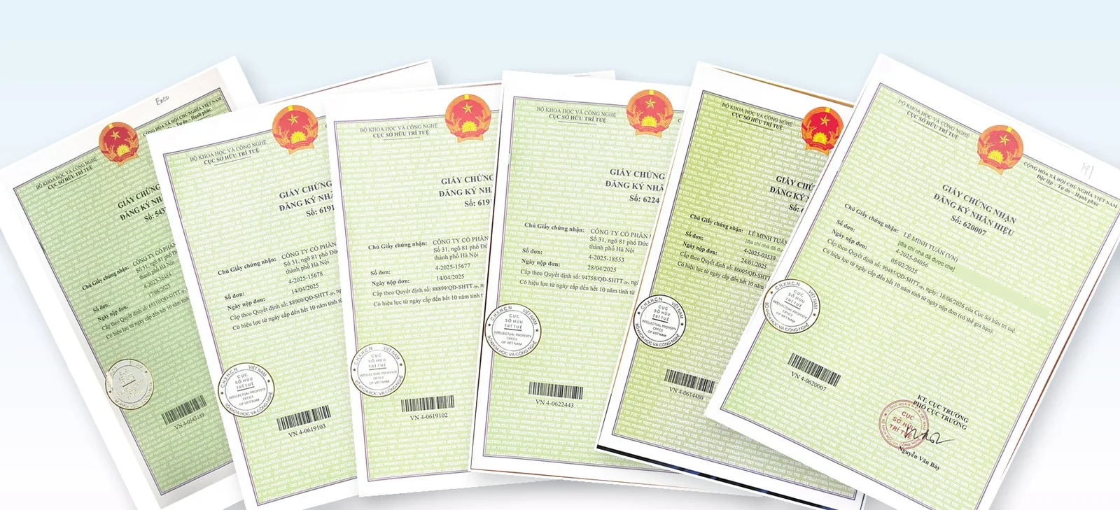 Sáu giấy chứng nhận đăng ký nhãn hiệu của INFO PHARMA và Lê Minh Tuấn xếp thành hình quạt